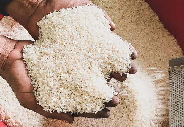 Le prix du riz en Algérie passe du simple au double, l&rsquo;OAIC réagit