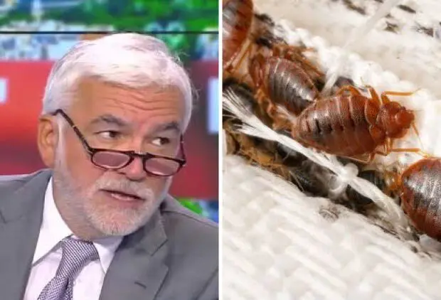 «Un lien entre la propagation des punaises de lit et l’immigration», le dérapage de Praud