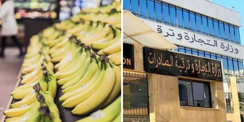 Pour baisser le prix de la banane à 200 DA/KG : l’État opte pour l’importation massive