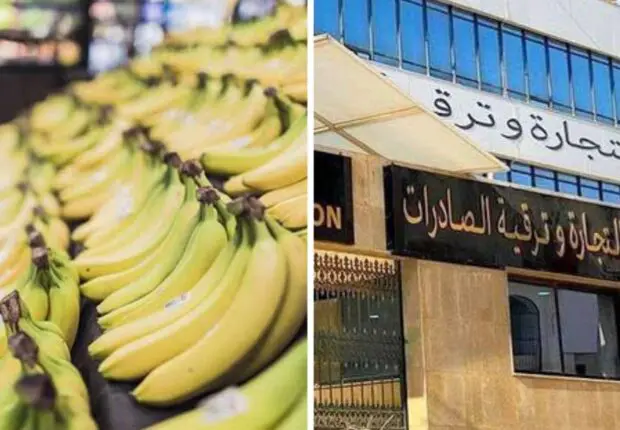 Pour baisser le prix de la banane à 200 DA/KG : l’État opte pour l’importation massive