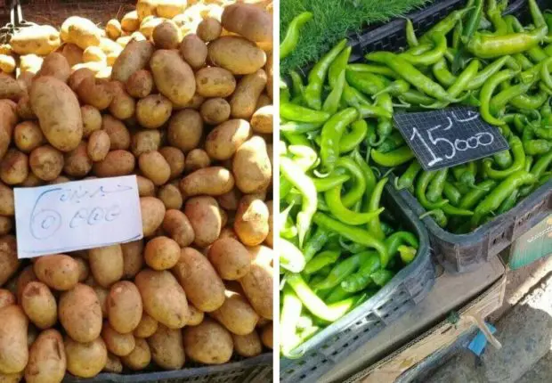 Quels sont les prix des fruits et légumes sur le marché algérien ? (APOCE)