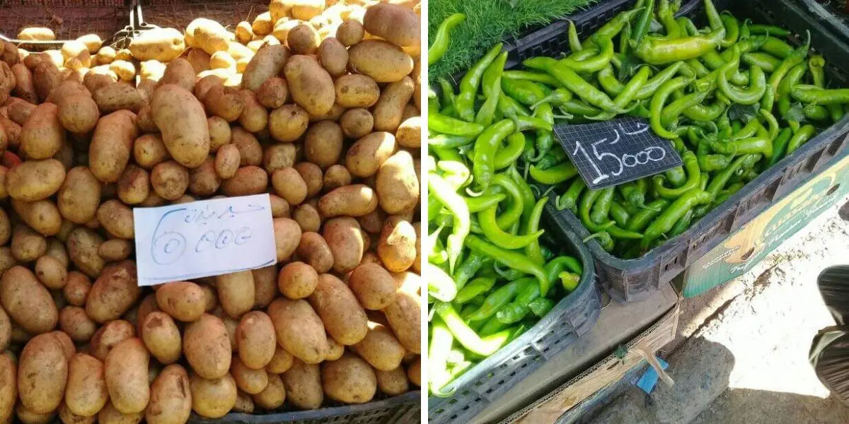 Quels sont les prix des fruits et légumes sur le marché algérien ? (APOCE)