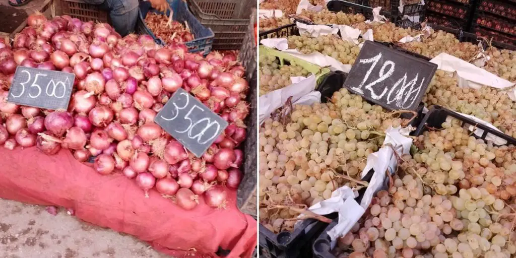 Quels sont les prix des fruits et légumes en Algérie ? (APOCE)