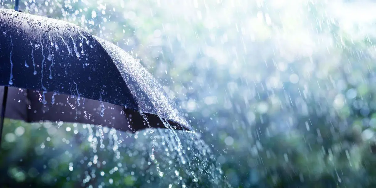 BMS en Algérie : alerte pluies orageuses sur 17 wilayas ce samedi 2 septembre