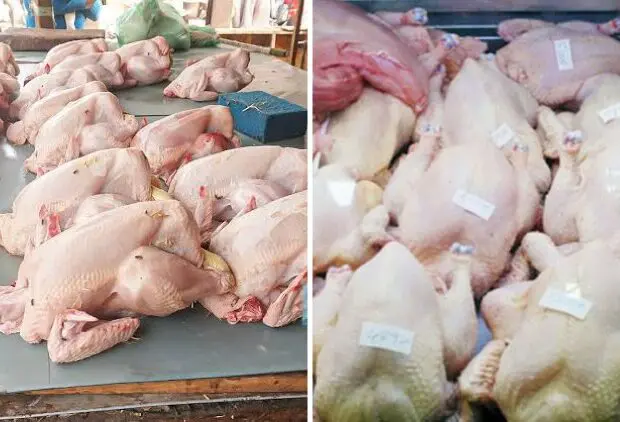 Flambée des prix du poulet : vers un retour prochain à la normale ?