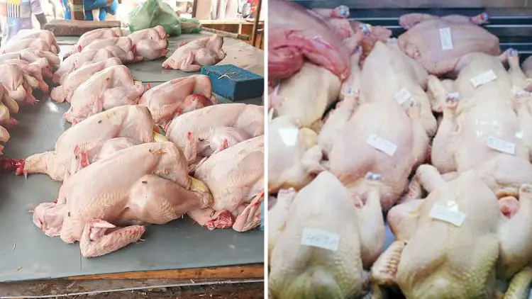 Flambée des prix du poulet : vers un retour prochain à la normale ?