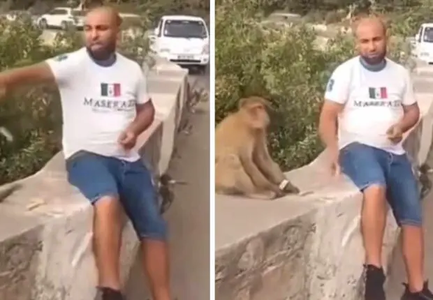 Il se filme frappant un singe, un Algérien lynché sur les réseaux sociaux [VIDÉO]