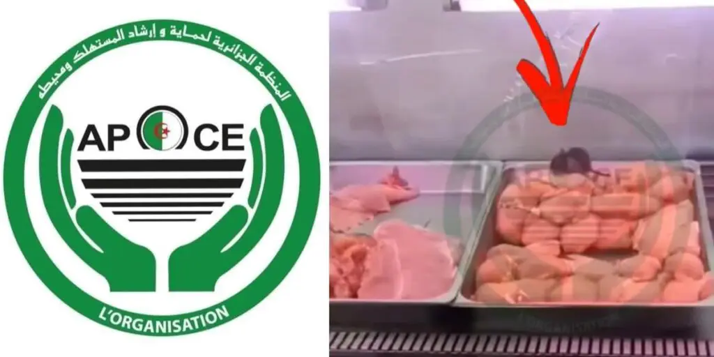 Intrusion d&rsquo;un rat dans un frigo présentoir d&rsquo;une boucherie, l&rsquo;APOCE s&rsquo;indigne (vidéo)