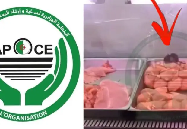 Intrusion d’un rat dans un frigo présentoir d’une boucherie, l’APOCE s’indigne (vidéo)