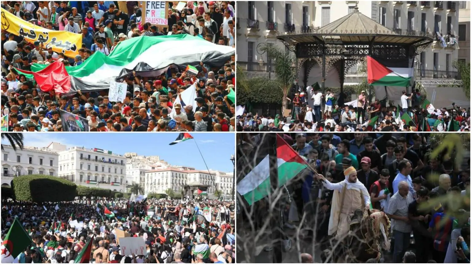 L’ambassadeur palestinien reconnaissant envers la solidarité des Algériens