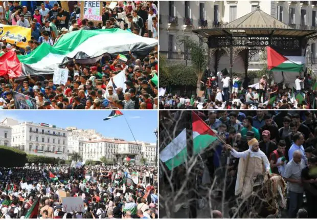 L&rsquo;ambassadeur palestinien reconnaissant envers la solidarité des Algériens