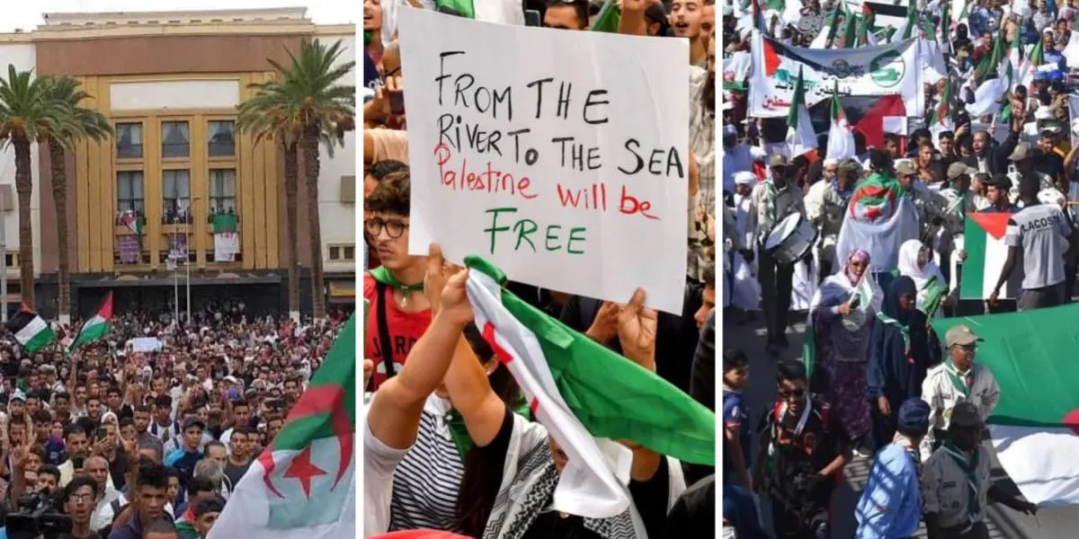 Marches populaires en soutien à la Palestine : quel est le nombre de manifestants ?