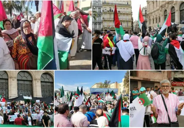 Coup d&rsquo;envoi des marches en soutien à la Palestine dans toute l&rsquo;Algérie (Photos et vidéo)