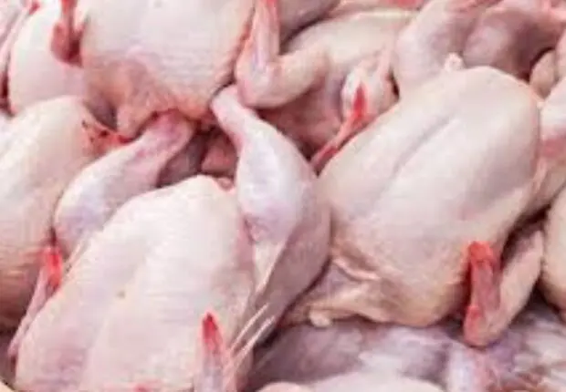 Vers l’importation du poulet brésilien en Algérie ?