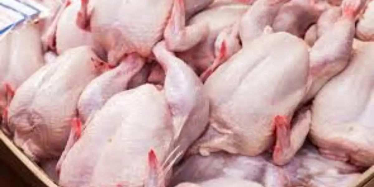 Vers l’importation du poulet brésilien en Algérie ?