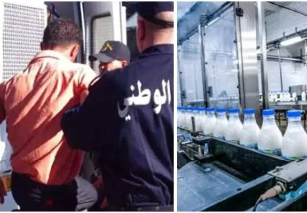 Il détourne 60 Mds de centimes discrètement, le patron d&rsquo;une laiterie arrêté à Batna