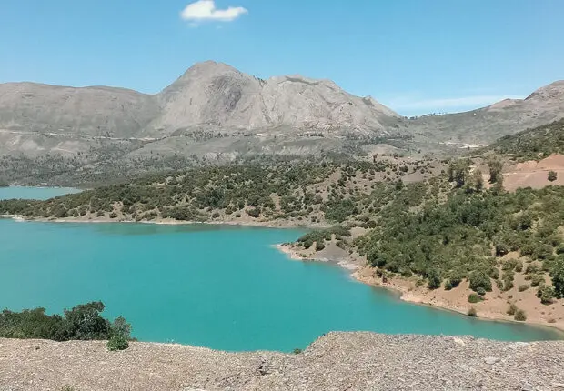 Sécheresse en Algérie : le 1er ministre donne des chiffres alarmants