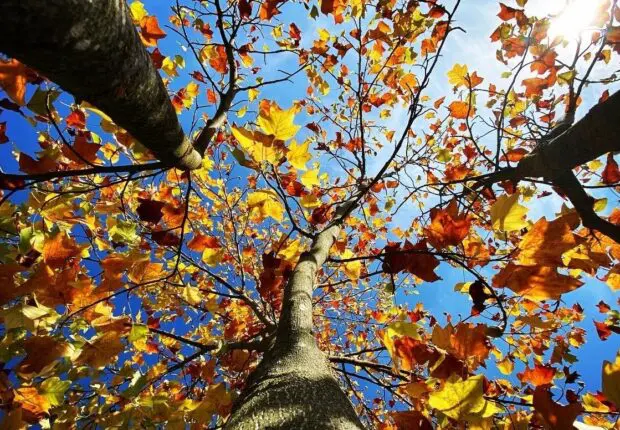Le temps en Algérie ce mardi 31 octobre : quelle météo prévoir aujourd’hui ?
