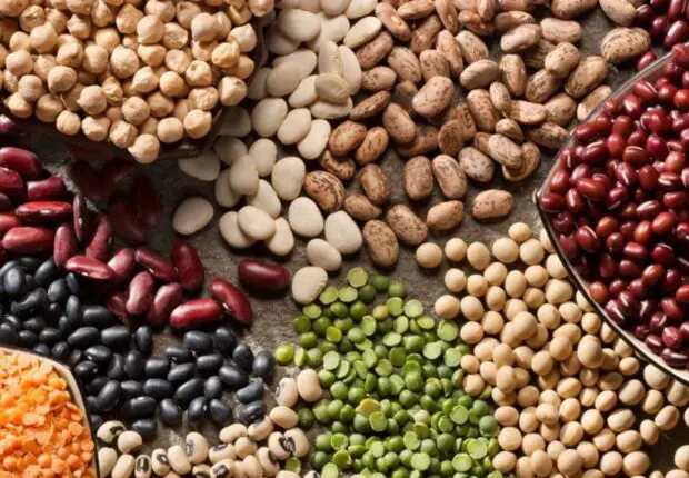 Face à la hausse des prix en Algérie, certaines légumineuses disparaissent du marché