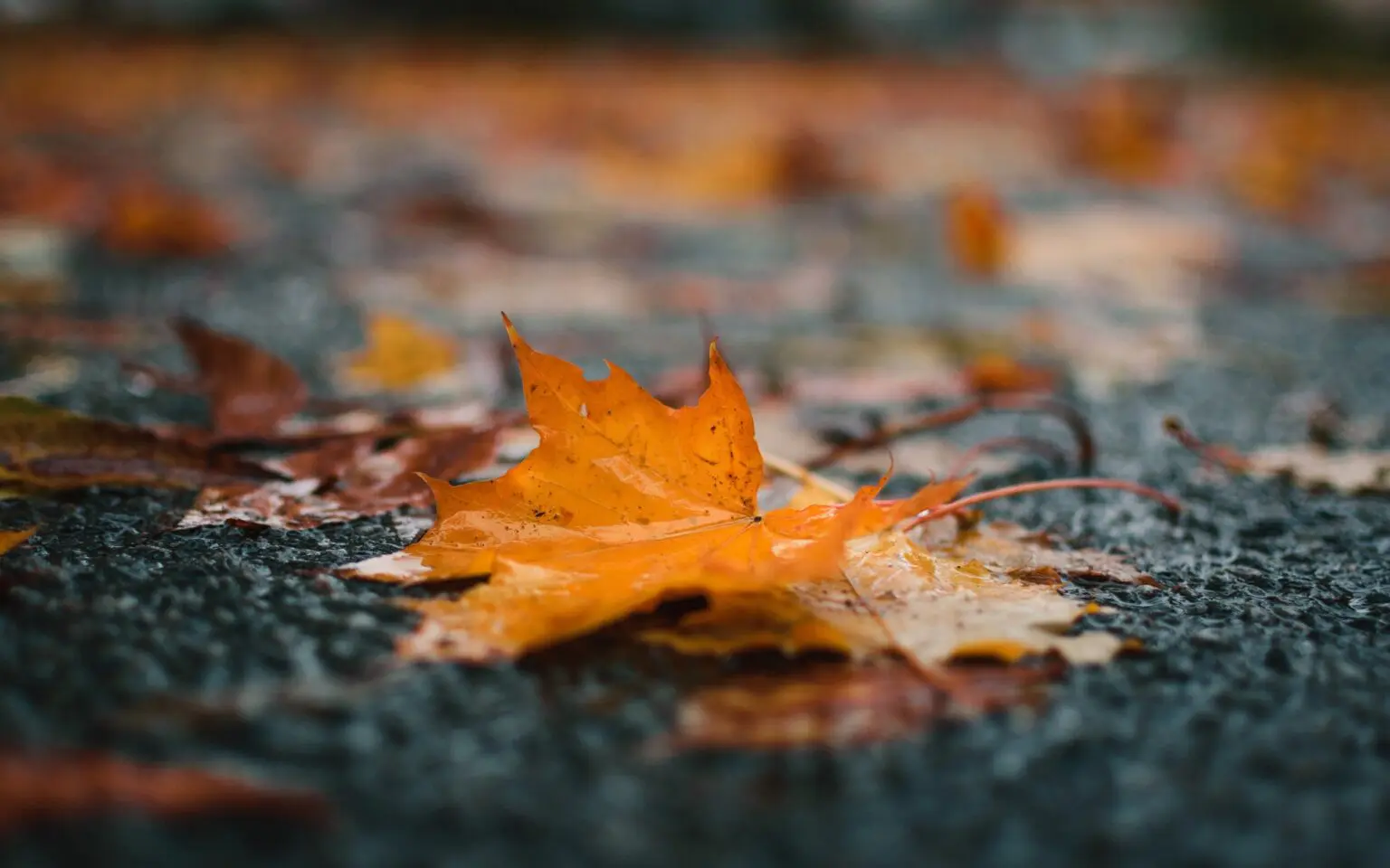 La météo en Algérie ce dimanche 15 octobre : faut-il s’attendre au retour de la pluie ?