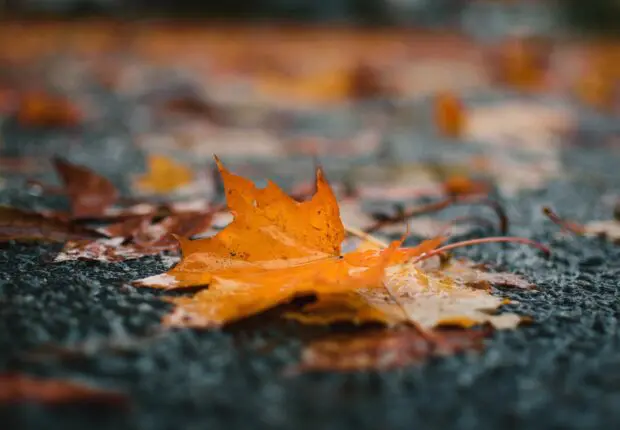 La météo en Algérie ce dimanche 15 octobre : faut-il s’attendre au retour de la pluie ?