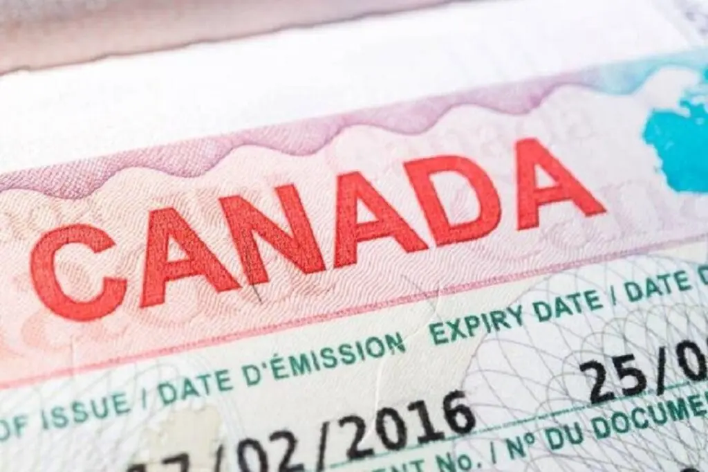 Prise de rendez-vous visa : note importante de l’ambassade du Canada en Algérie