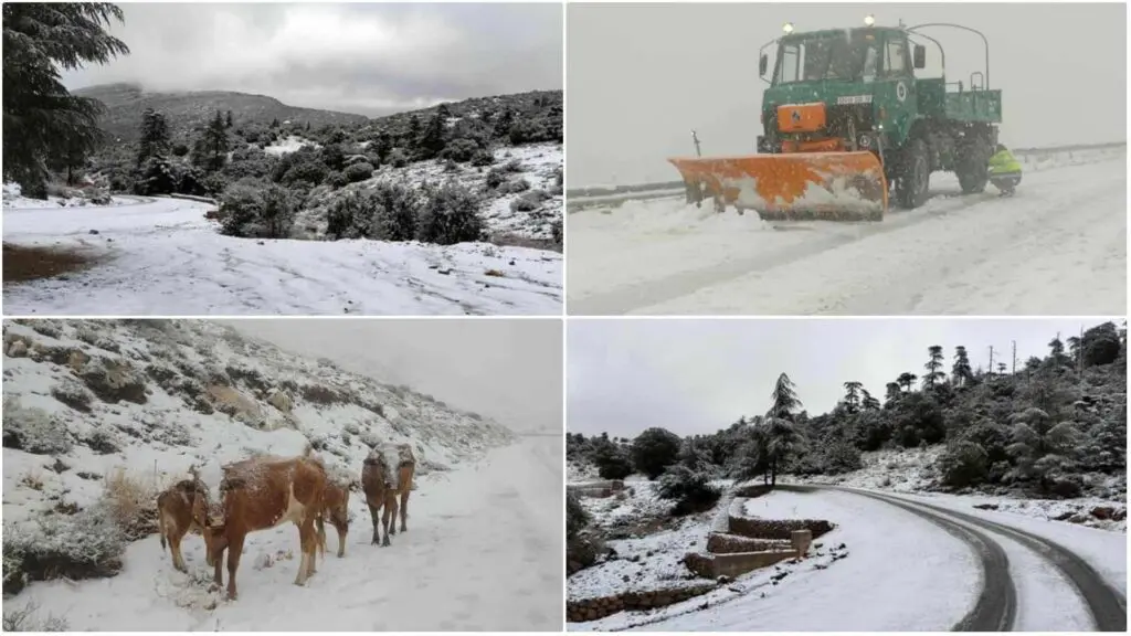 Les premiers flocons de neige couvrent plusieurs régions d’Algérie (Vidéos)