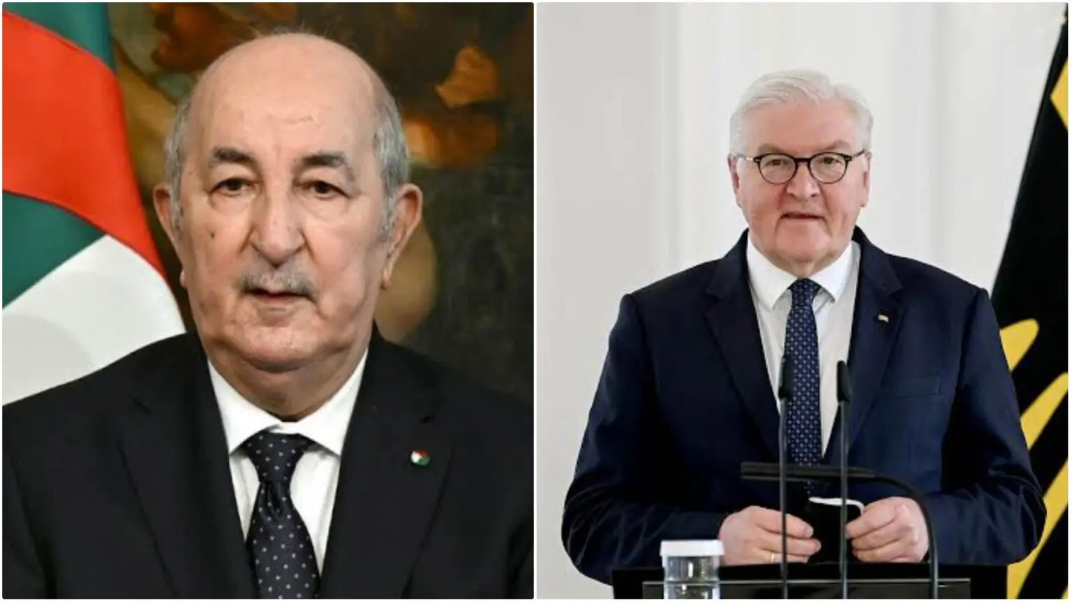 1er Novembre : Tebboune reçoit les félicitations du président allemand Steinmeier