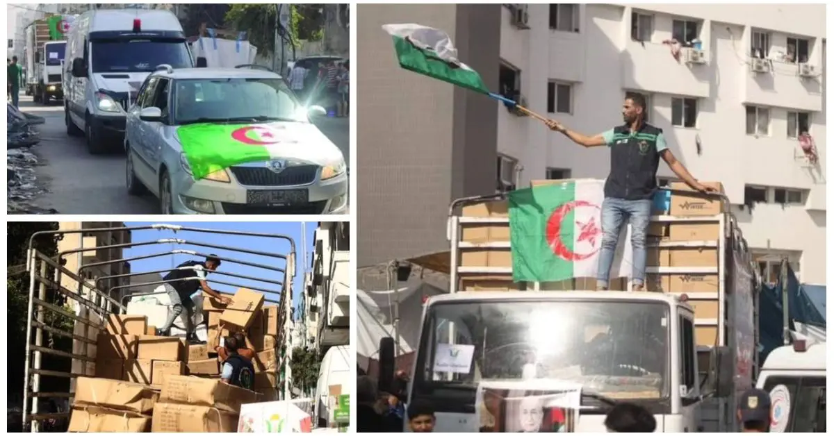 Soutien à la Palestine : l’aide médicale algérienne arrive à Gaza (VIDÉO)