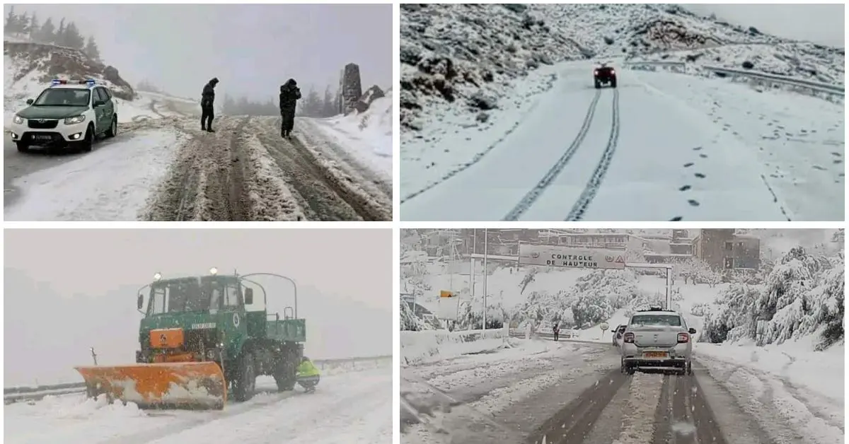 Chutes de neige en Algérie : plusieurs routes nationales fermées à la circulation