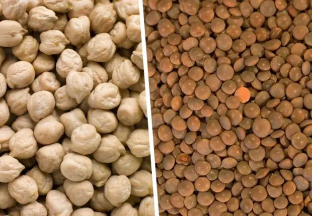 La ministère annonce l’importation massive de légumineuses pour réguler le marché