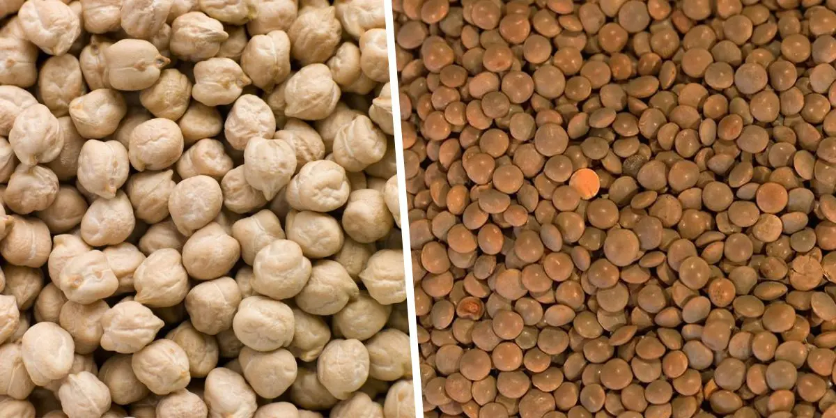 La ministère annonce l’importation massive de légumineuses pour réguler le marché