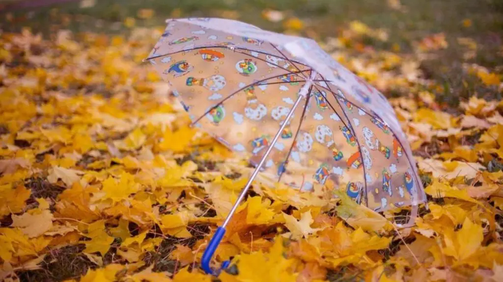 Prévisions météo en Algérie pour ce lundi 6 novembre : faut-il sortir les parapluies ?