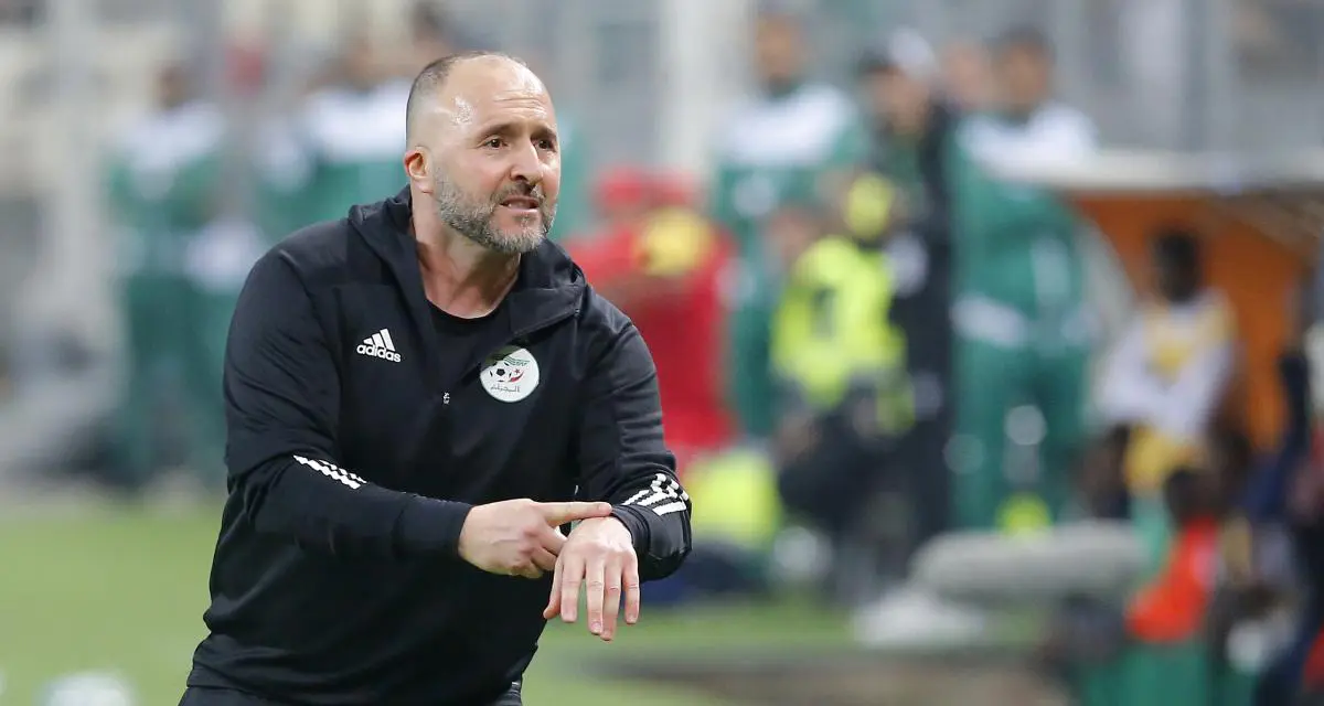 Hébergement de Djamel Belmadi : la grosse mise au point de la FAF