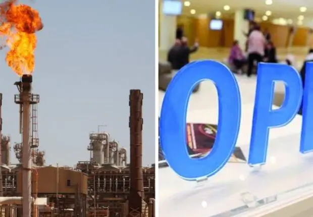 OPEP+ : l’Algérie procèdera à une réduction supplémentaire de sa production de pétrole