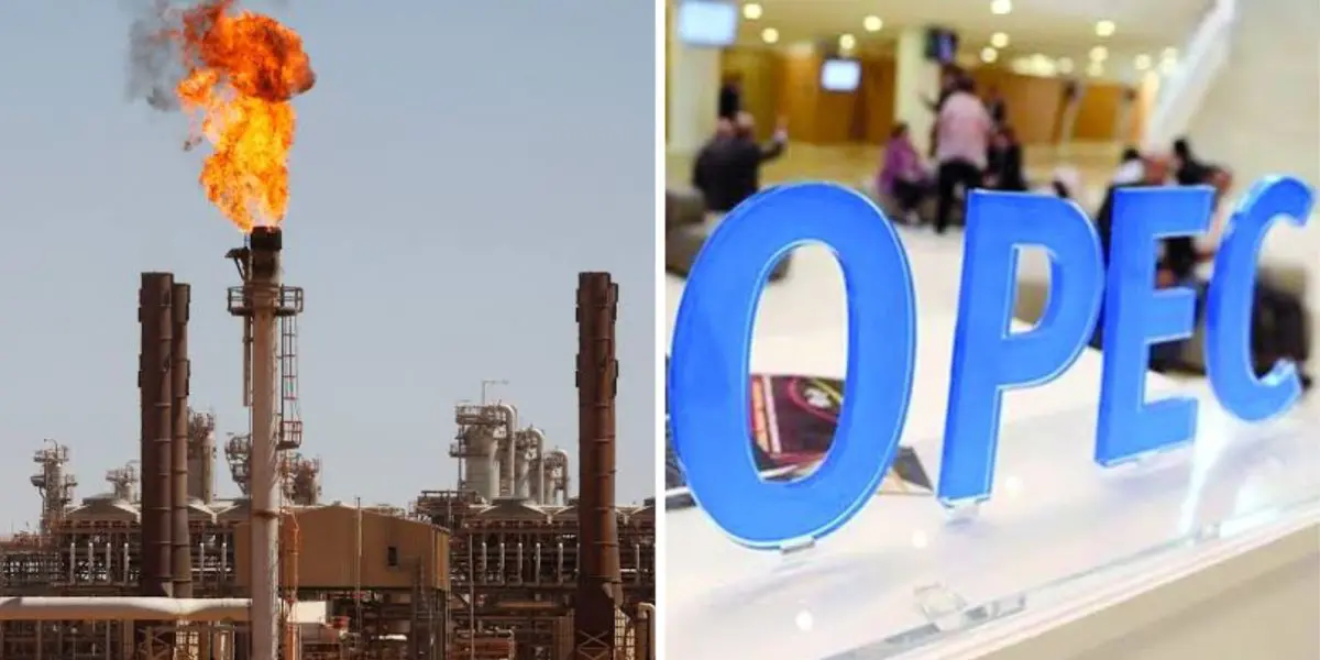 OPEP+ : l’Algérie procèdera à une réduction supplémentaire de sa production de pétrole