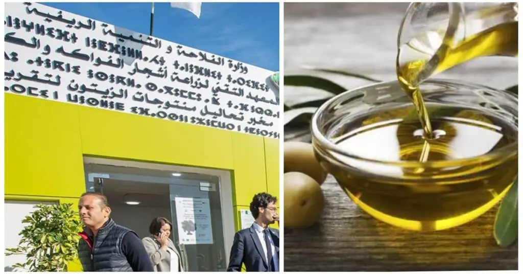 Oléiculture : Béjaia se dote d’un laboratoire d’analyse accrédité pour l’huile d’olive