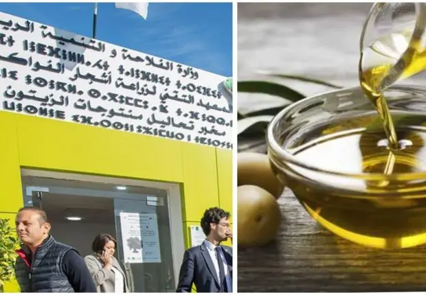 Oléiculture : Béjaia se dote d’un laboratoire d’analyse accrédité pour l’huile d’olive
