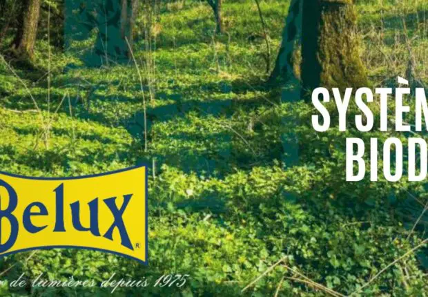 BIODIV de Belux : un système d’éclairage innovant conçu pour préserver la biodiversité
