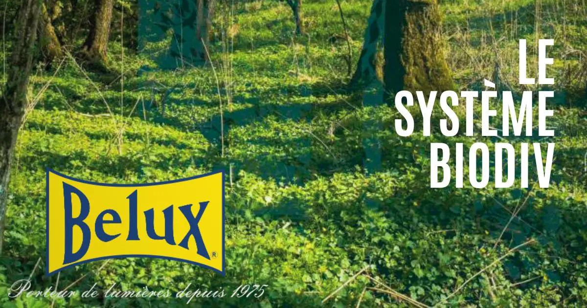 BIODIV de Belux : un système d’éclairage innovant conçu pour préserver la biodiversité
