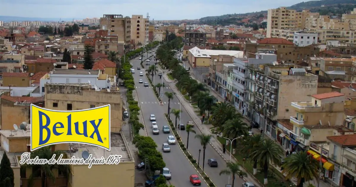 BELUX veut accompagner le développement de la wilaya de Djelfa