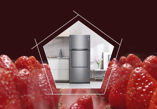 LG réinvente la fraîcheur dans ses réfrigérateurs avec NatureFRESH™