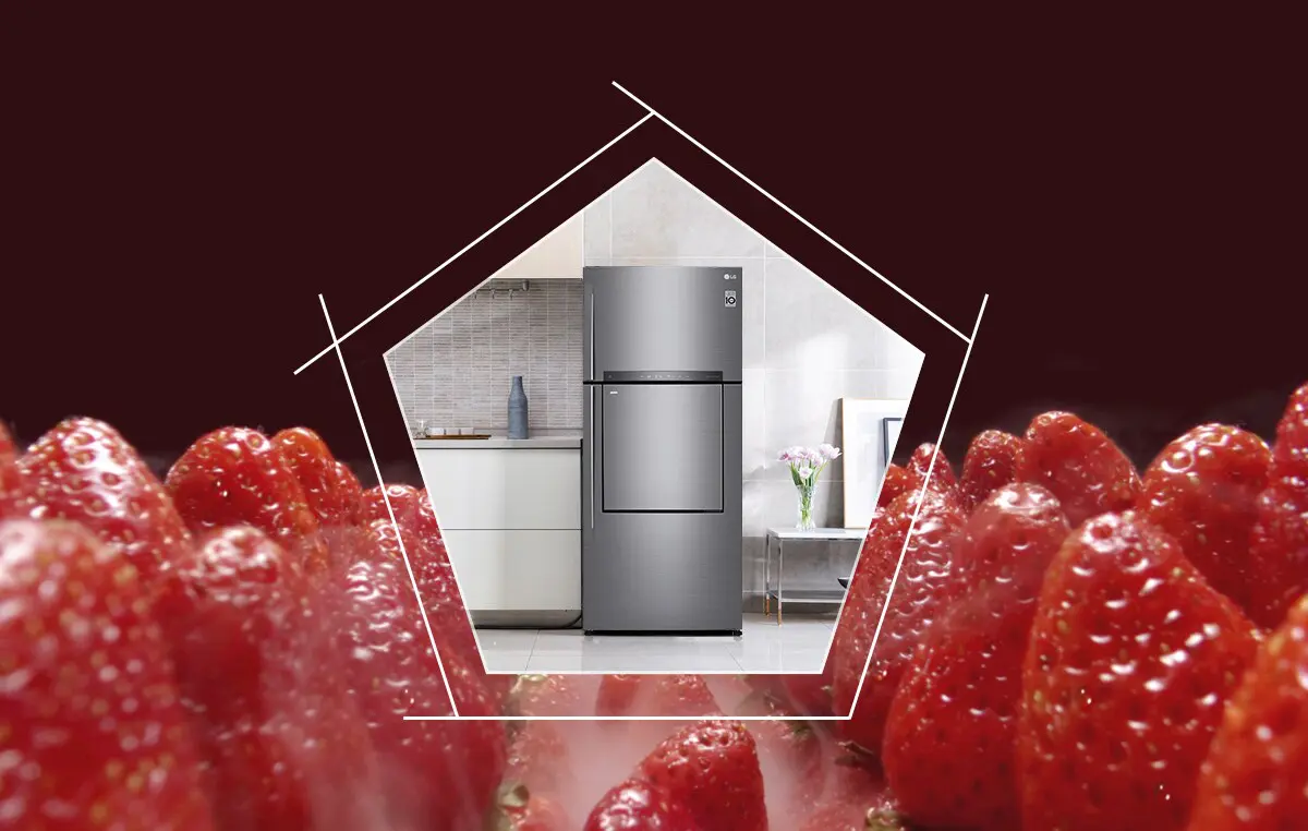 LG réinvente la fraîcheur dans ses réfrigérateurs avec NatureFRESH™
