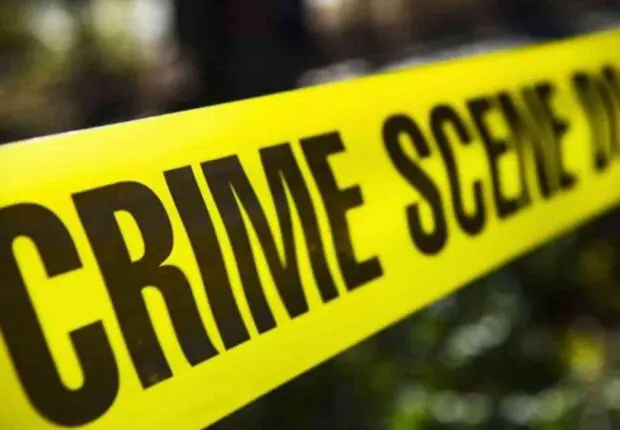 Les citoyens d’Aïn Defla découvrent une tête humaine dans un sac en plastique