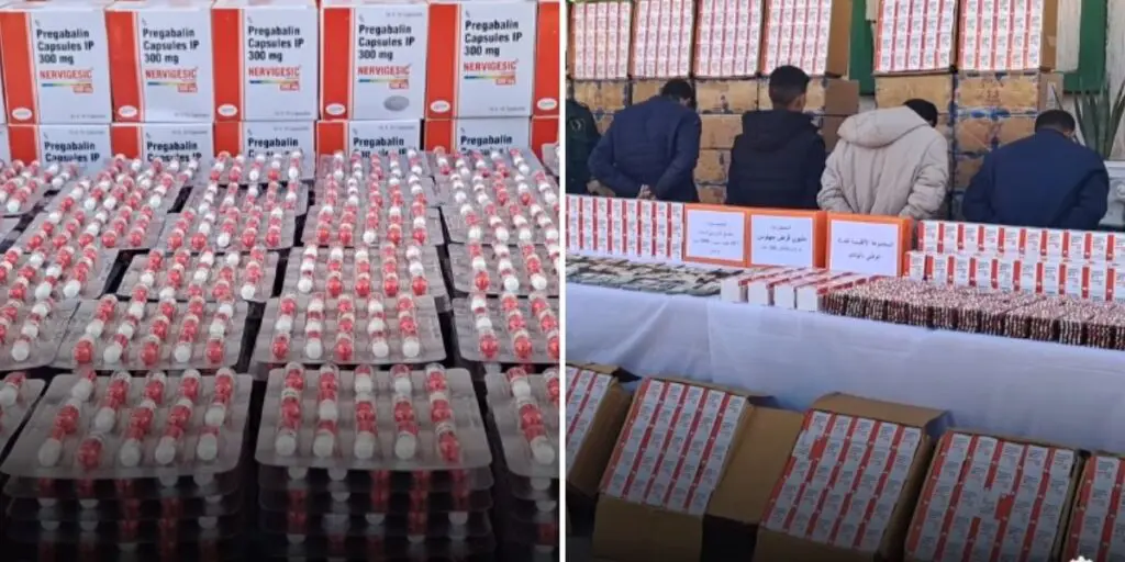 Les autorités saisissent 1 million de comprimés hallucinogènes à El Oued