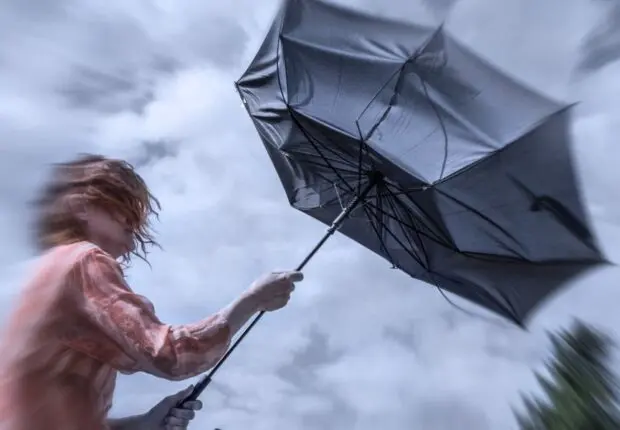 Alerte météo : pluies orageuses et vents forts dans plusieurs régions