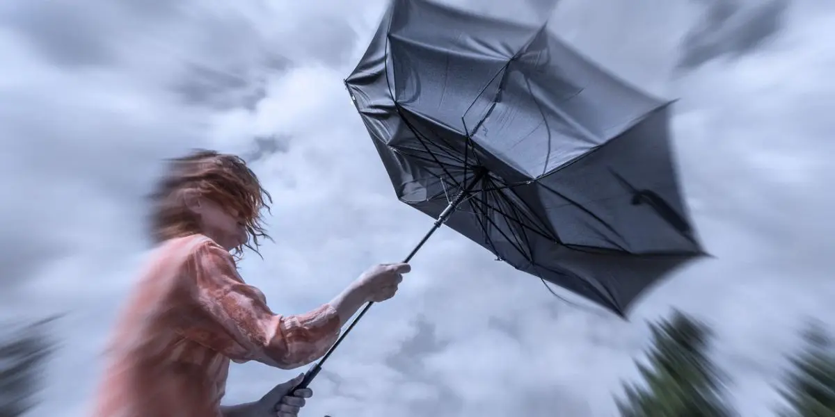 Alerte météo : pluies orageuses et vents forts dans plusieurs régions