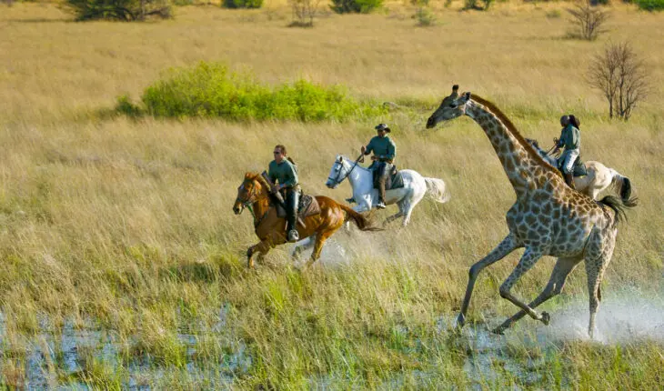 National Geographic