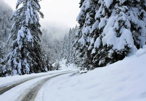 BMS en Algérie : de la neige attendue dans 8 wilayas