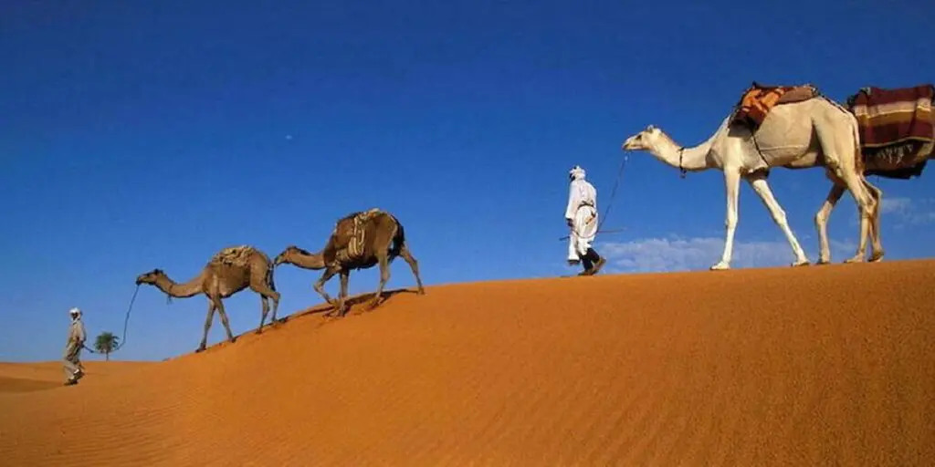 L’Algérie, future « grande destination » des touristes britanniques ?